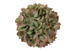 ohgreen Kunstdeco bal eucalypthus