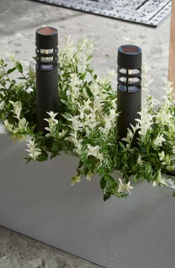 ohgreen Lamp Montelimar Solar