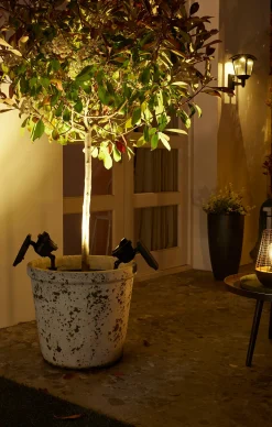 ohgreen Lamp Texas Solar