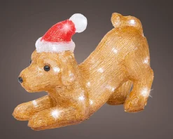 ohgreen Led hond acryl steady