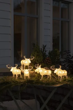 ohgreen Lichtsnoer 5 acryl elanden 5m 40led warmwit voor buiten