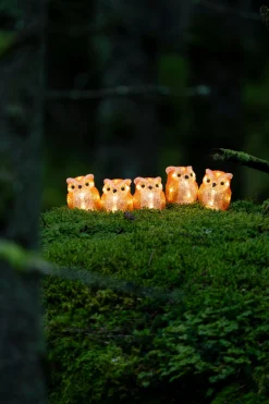 ohgreen Lichtsnoer 5 acryl uilen 5m 40led warmwit voor buiten