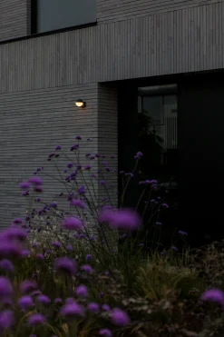 ohgreen Looma wandlamp