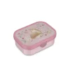 ohgreen Lunchbox fairy garden