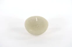 ohgreen Luz Your Senses kaars