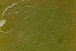 ohgreen Luz Your Senses kaars