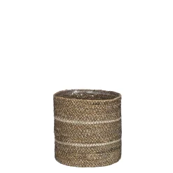 ohgreen Mand celestial