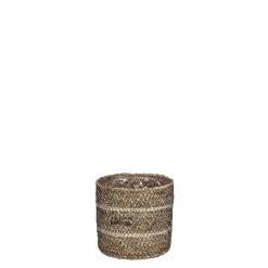 ohgreen Mand celestial