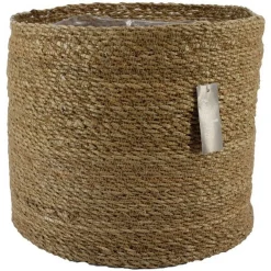 ohgreen Mand chennai