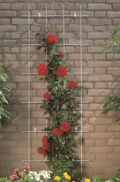 ohgreen Metalen klimrek groen