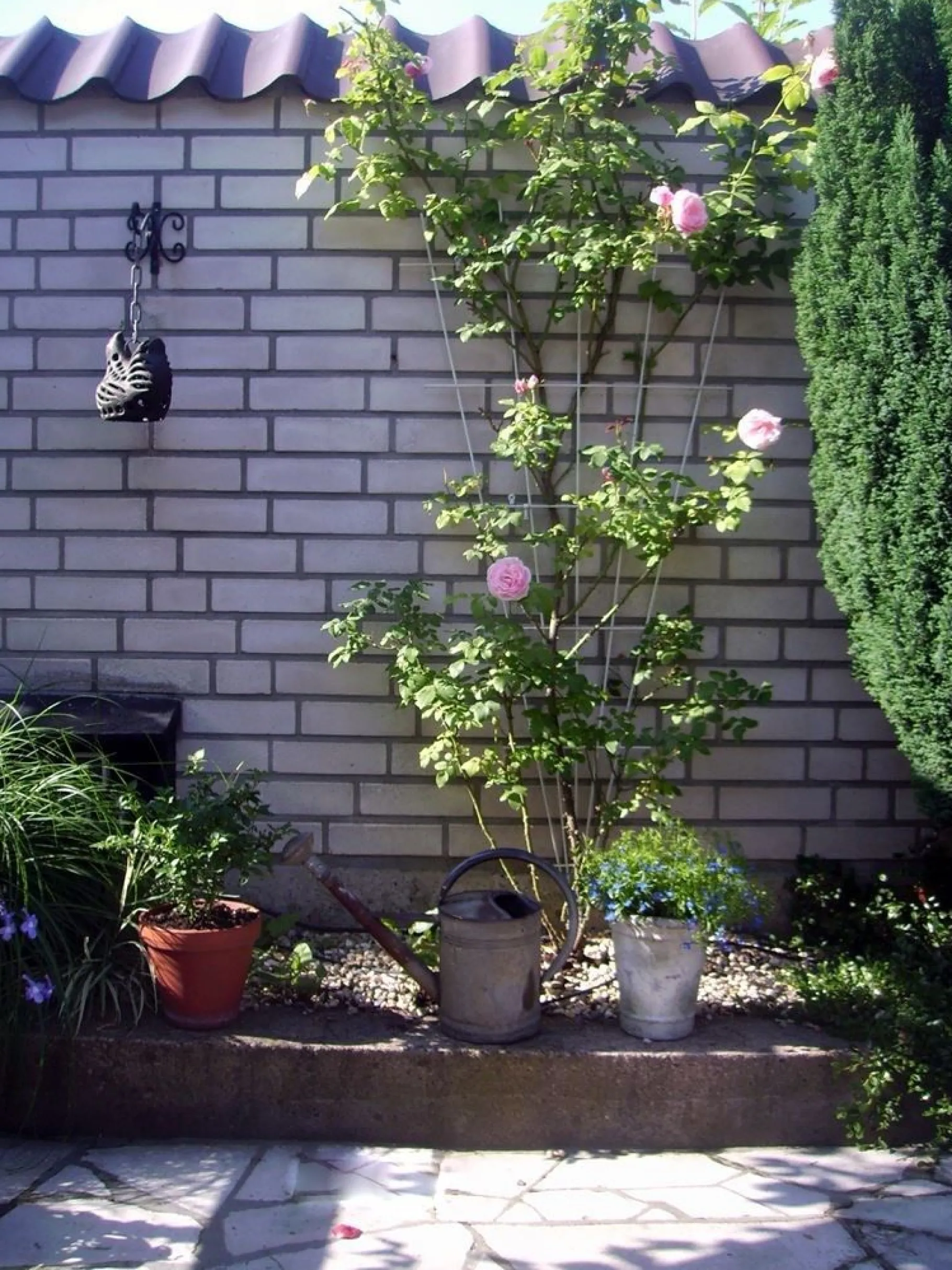 ohgreen Metalen klimrek V-vorm grijs