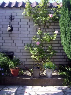 ohgreen Metalen klimrek V-vorm groen