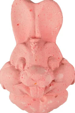 ohgreen Mineraal liksteen konijn 80g