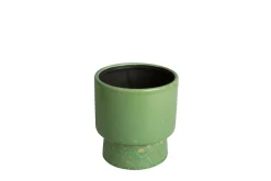 ohgreen MINIPOT D7,5 MOON GRASGROEN
