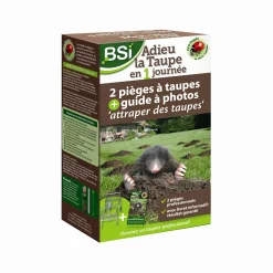 ohgreen Mollenval Mol-weg in 1 dag