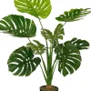 ohgreen Monstera in pot