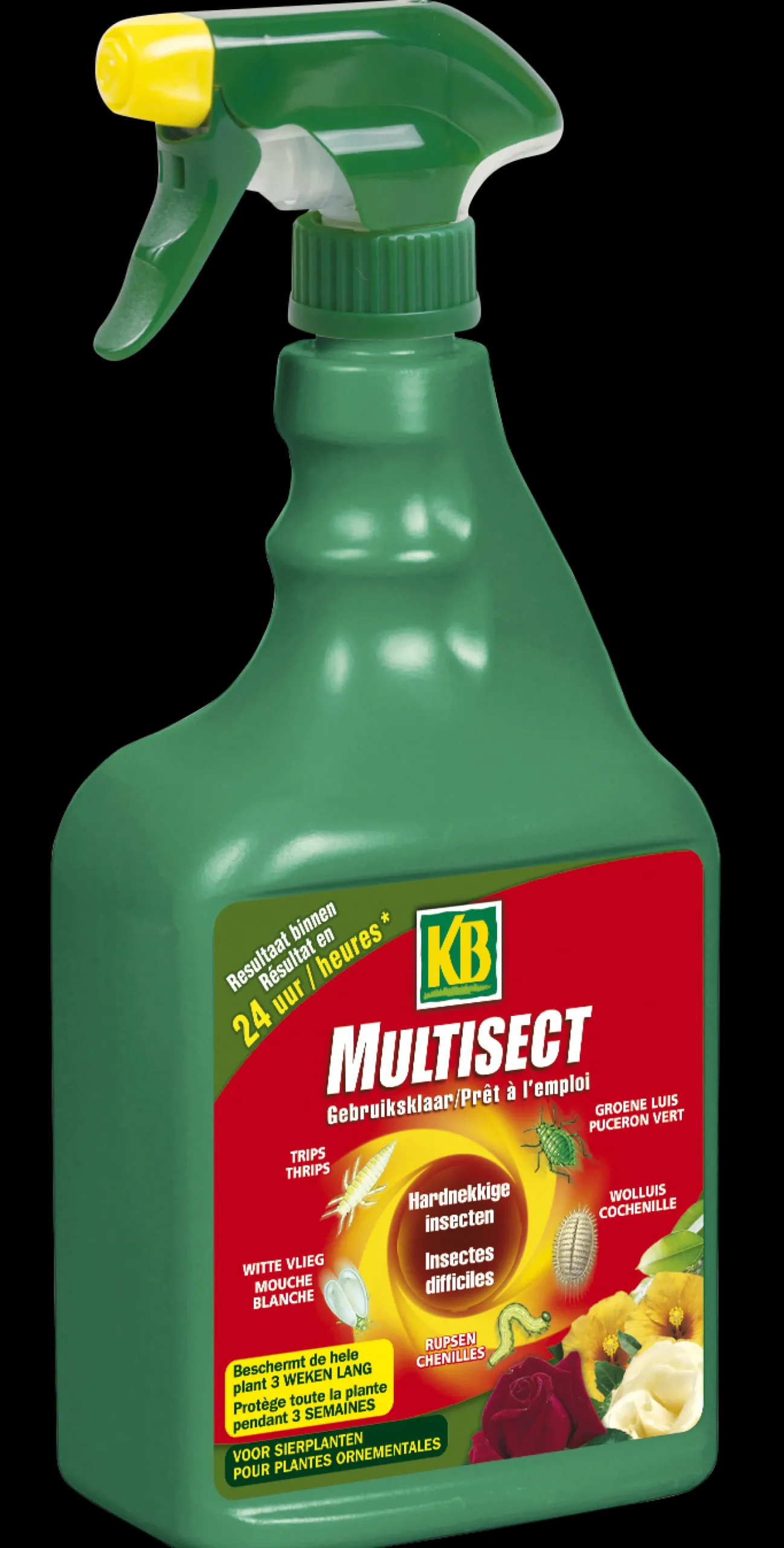 ohgreen Multisect Spray tegen hardnekkige insecten en Buxusmot