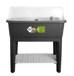 ohgreen Noa kweektafel