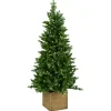 ohgreen Norfolk pe table tree w/pot 137cm 200l transfo