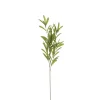 ohgreen Olijf branche groen - l85cm