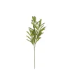 ohgreen Olijf branche groen - l55cm
