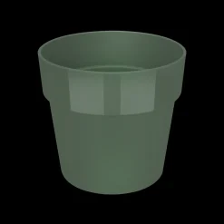 ohgreen ORIGINAL ROND MINI 7CM BLAD GROEN