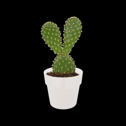 ohgreen ORIGINAL ROND MINI 7CM WIT