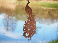 ohgreen Pauw op stock