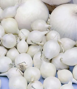 ohgreen Plantajuin snowball 8/21 250g