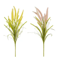 ohgreen Pluimgras - l58cm