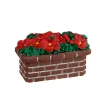 ohgreen Poinsettia planter
