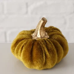 ohgreen Pompoen patches