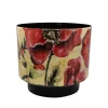 ohgreen Pot camelia poppy d22 h20