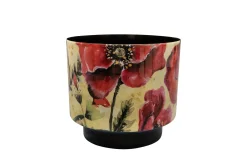 ohgreen Pot camelia poppy d22 h20