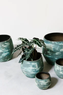 ohgreen Pot d31 mist