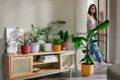 ohgreen Pot jazz rond 23cm amber geel