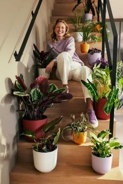 ohgreen Pot jazz rond 16cm lavendel lila