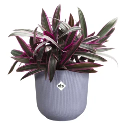ohgreen Pot jazz rond 16cm lavendel lila