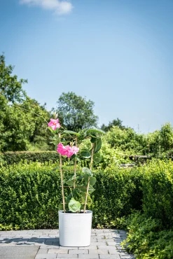 ohgreen Pot Respect met reservoir25x25h21 wit