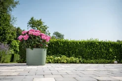 ohgreen Pot Respect met reservoir 40x40h30 groen-grijs