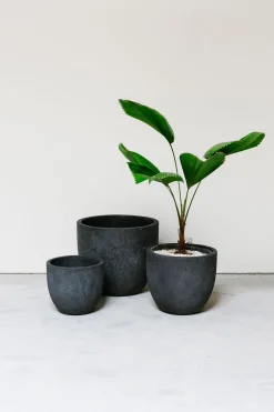 ohgreen Pot rond crest