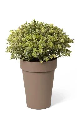 ohgreen Pot rond happy hoog 40h 50 taupe