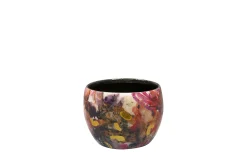 ohgreen Pot sweet magnolia d7 h6