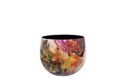 ohgreen Pot sweet magnolia d15 h13