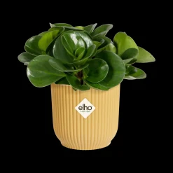 ohgreen Pot vibes fold 11cm botergeel