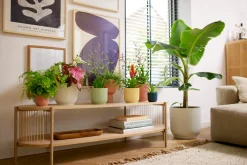 ohgreen Pot vibes fold 25cm delicate roze