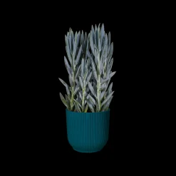 ohgreen Pot vibes fold 25cm diepblauw