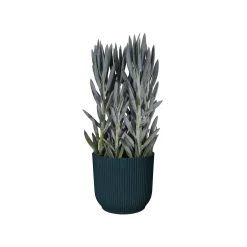 ohgreen Pot vibes fold 25cm diepblauw