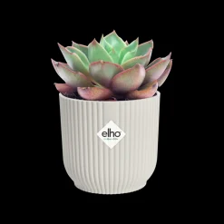 ohgreen Pot vibes fold 7cm zijdewit