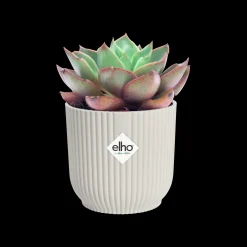 ohgreen Pot vibes fold 9cm zijdewit